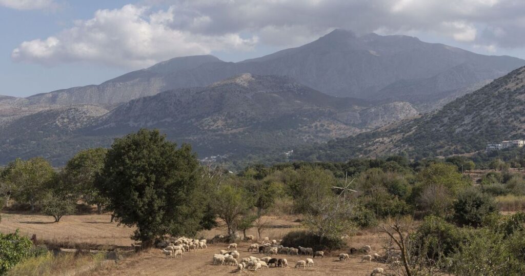 Greece imposes new restrictions to combat 'goat plague' | World | News