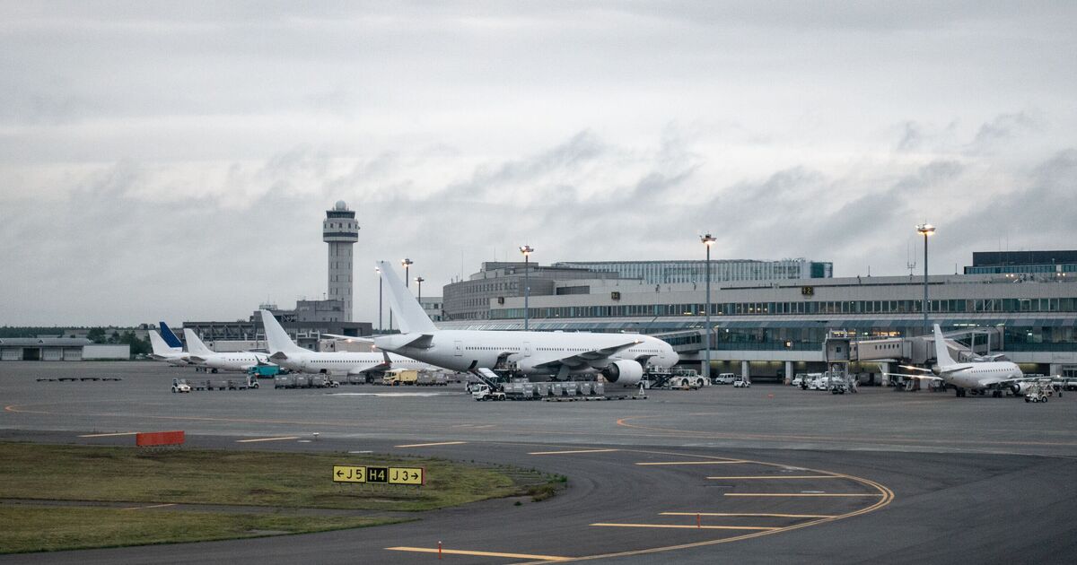 Airport chaos after 36 flights suddenly cancelled - all because of one missing item | World | News