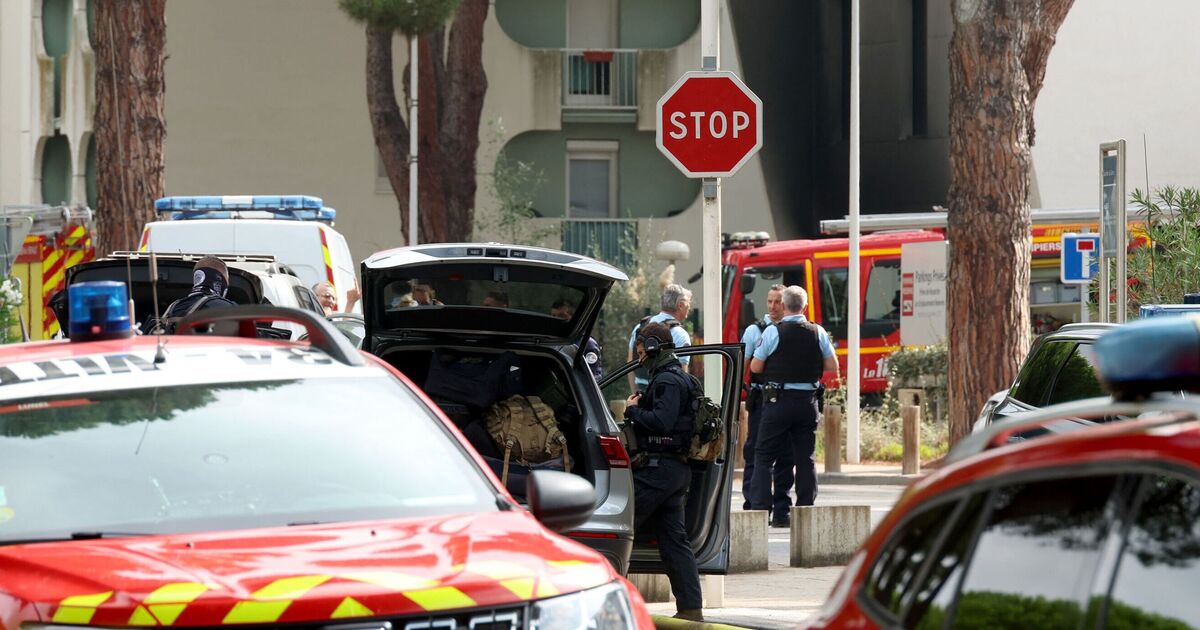 France synagogue attack: Manhunt as Macron slams 'terrorist act' | World | News