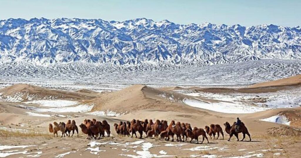 Gobi Desert: As beautiful as the Sahara with almost no tourists | World | News