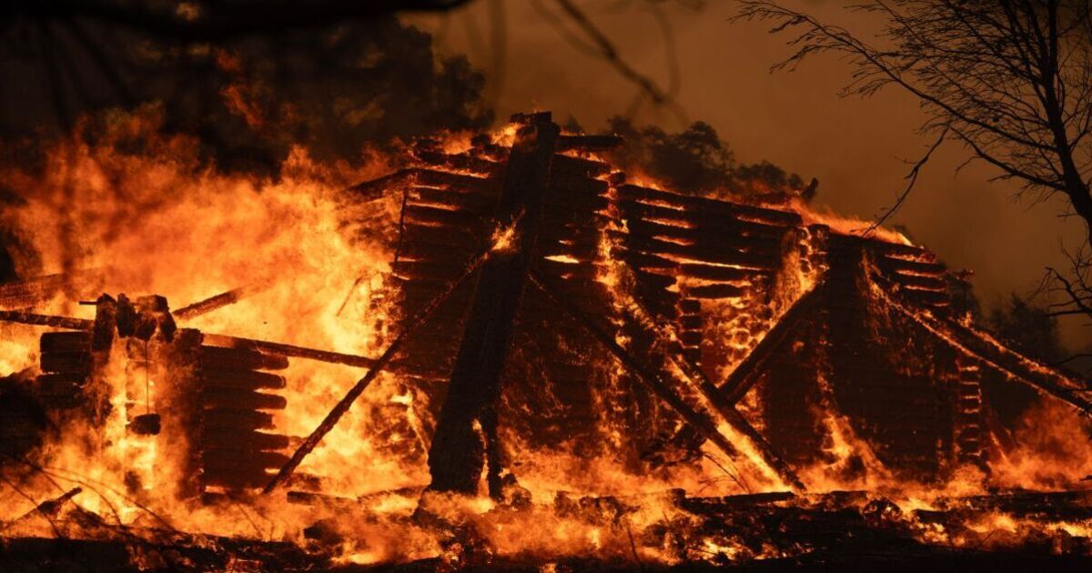 Greece travel latest as wildfires force thousands to evacuate homes | World | News