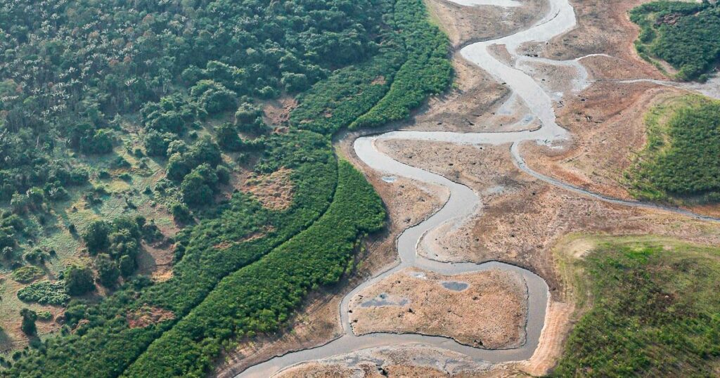 Apocalyptic drought hits Amazon as rivers dry up with conditions 'as bad as Sahara' | World | News