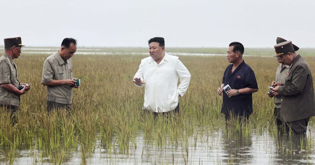 Kim Jong-Un 'executes 30' top officials in response to flood | World | News