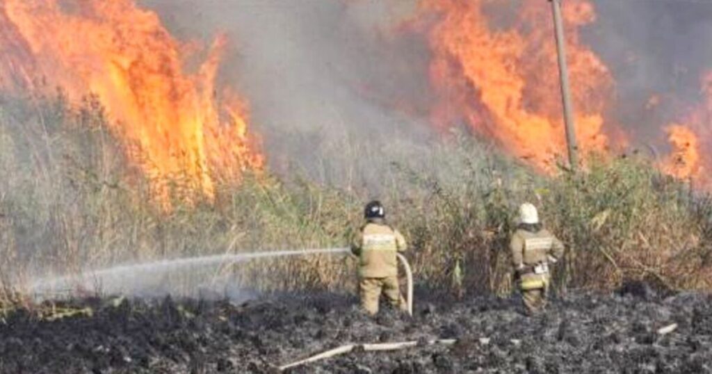 Russia burning as more than 130 fires ravage region bordering Ukraine | World | News