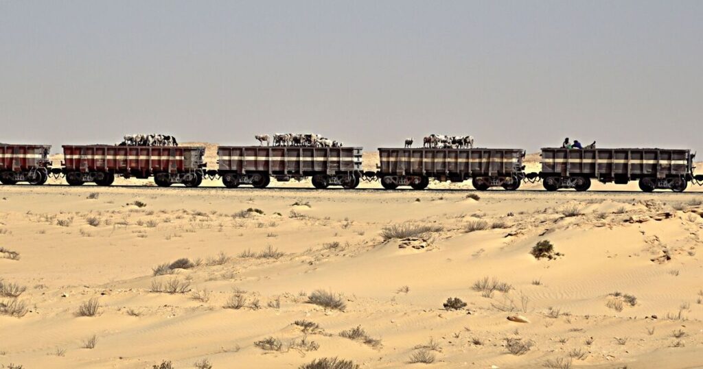 The 1.86mile freight train tourists ride through the desert for fun | World | News