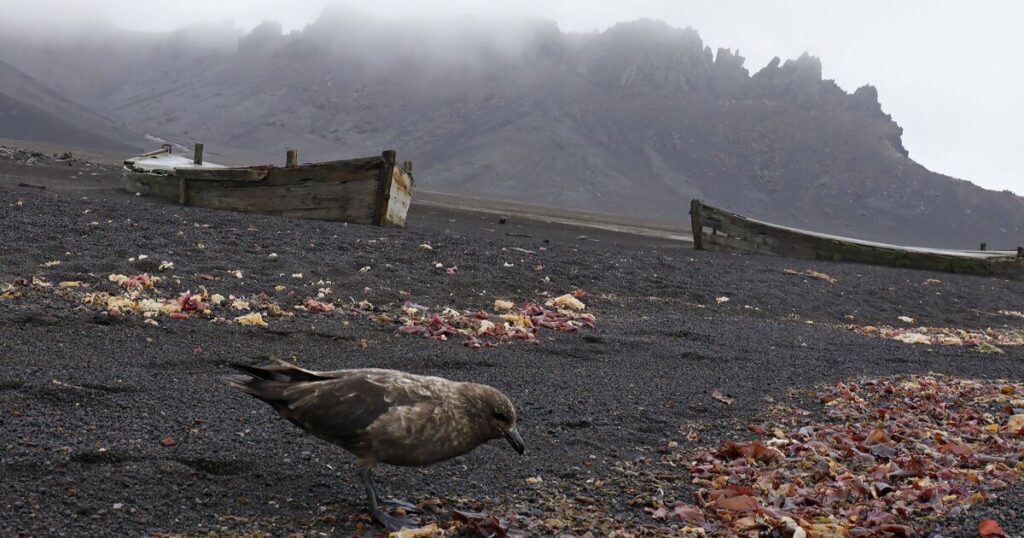 The abandoned island frozen in time after catastrophic event | World | News