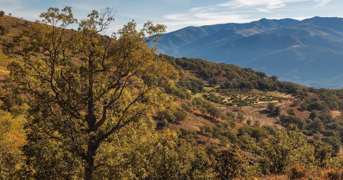 The beautiful part of Spain offering Brits £12,629 to move there | World | News