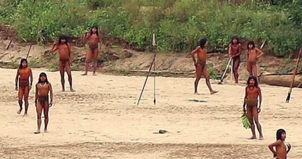 'Uncontacted' Amazon tribe kill two loggers with bows and arrows | World | News